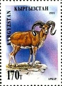 Colnect-2626-173-Altai-Argali-Ovis-ammon-ammon.jpg