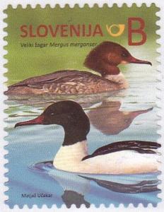 Colnect-2716-376-Mergus-merganser---reprinted-2015.jpg