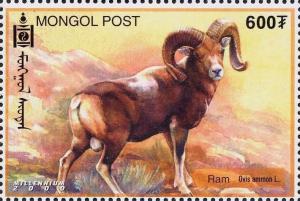 Colnect-1292-061-Argali-Ovis-ammon.jpg