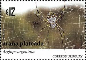 Colnect-2043-606-Silver-Argiope-Argiope-argentata.jpg