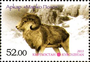 Colnect-3073-167-Argali-Ovis-ammon.jpg