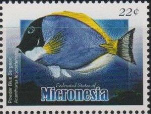 Colnect-5733-200-Powder-Blue-Surgeaon-Acanthurus-leucosternon.jpg