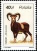 Colnect-1967-329-Argali-Ovis-ammon.jpg