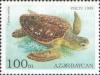 Colnect-1093-201-Loggerhead-Caretta-caretta.jpg