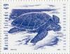 Colnect-2942-998-Loggerhead-Caretta-caretta.jpg