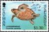 Colnect-5585-204-Loggerhead-Caretta-caretta.jpg