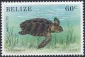 Colnect-2184-937-Loggerhead-Caretta-caretta.jpg