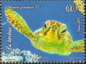 Colnect-2193-312-Loggerhead-Caretta-caretta.jpg