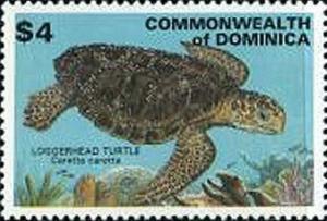 Colnect-2313-525-Loggerhead-Caretta-caretta.jpg