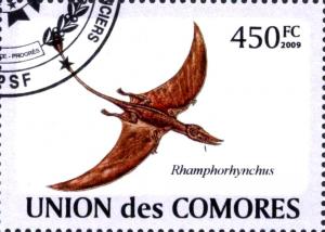 Colnect-3257-124-Rhamphorhynchus.jpg