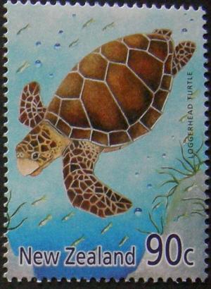 Colnect-4003-018-Loggerhead-Caretta-caretta.jpg