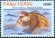 Colnect-2517-486-Loggerhead-Caretta-caretta.jpg