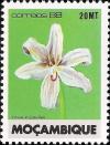 Colnect-1119-661-Crinum-polyphyllum.jpg