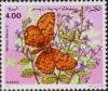 Colnect-1296-692-Spotted-Fritillary-Melitaea-didyma.jpg