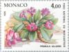 Colnect-149-067-Primula-allionii.jpg