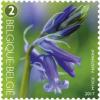 Colnect-3898-926-Flowering-common-bluebell.jpg