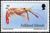 Colnect-3909-707-Painted-Shrimp-Campylonotus-vagans-.jpg