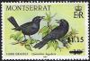 Colnect-3977-541-Overprint---Carib-Grackle-Quiscalus-lugubris.jpg