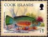 Colnect-4154-782-Black-Lined-Maori-Wrasse-Cheilinus-diagrammus.jpg