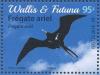 Colnect-4548-783-Lesser-Frigatebird-Fregata-ariel.jpg