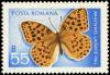 Colnect-5055-333-Pallas--s-Fritillary-Argynnis-laodice.jpg