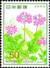 Colnect-608-816-Primula-sieboldi.jpg