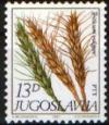 Colnect-761-322-Triticum-vulgare.jpg