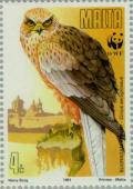 Colnect-131-064-Marsh-Harrier-Circus-aeroginosus.jpg