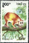 Colnect-2550-036-Pygmy-Loris-Nycticebus-pygmaeus.jpg