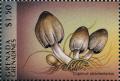 Colnect-3089-049-Coprinus-atramentarius.jpg