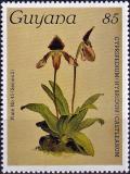 Colnect-4046-737-Cypripedium-catleanum.jpg