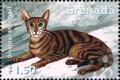 Colnect-4611-865-Oriental-Shorthair.jpg