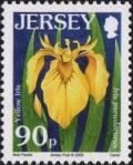 Colnect-5157-264-Yellow-Iris---Iris-pseudacorus-.jpg