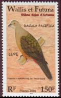 Colnect-900-252-Pacific-Imperial-pigeon-Ducula-pacifica.jpg