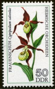 Colnect-4473-880-Cypripedium-calceolus.jpg