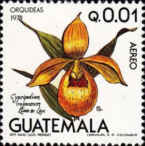 Colnect-2164-680-Cypripedium-irapeanum.jpg