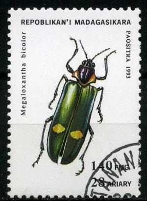 Colnect-1407-826-Metallic-Wood-boring-Beetle-Megaloxantha-bicolor.jpg