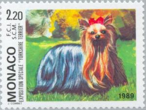 Colnect-149-333-Yorkshire-Terrier-Canis-lupus-familiaris.jpg