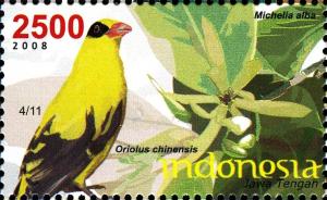 Colnect-1587-042-Black-naped-Oriole-Oriolus-chinerisis-White-Sandalwood-M.jpg