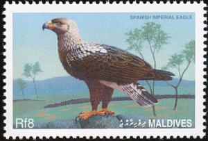 Colnect-1631-922-Spanish-Imperial-Eagle-Aquila-adalberti.jpg