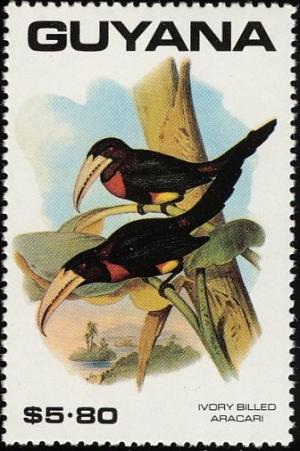 Colnect-1664-555-Ivory-billed-Aracari-nbsp-Pteroglossus-flavirostris.jpg