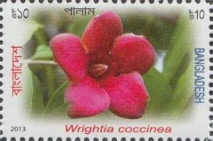 Colnect-1720-357-Wrightia-coccinea.jpg