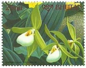 Colnect-1813-168-Cypripedium-cordigerum.jpg