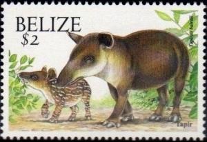 Colnect-2346-079-Central-American-Tapir-Tapirus-bairdii.jpg