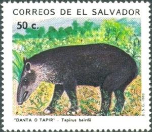 Colnect-2711-482-Central-American-Tapir-Tapirus-bairdii.jpg