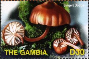 Colnect-3079-629-Mycena-singeri-Lodge-inscr-Singeri-Dodge.jpg