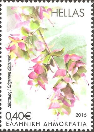 Colnect-3737-948-Origanum-Dictamus.jpg