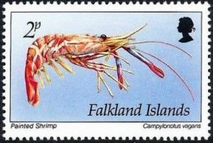 Colnect-3909-707-Painted-Shrimp-Campylonotus-vagans-.jpg