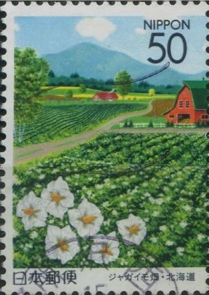 Colnect-3937-598-Flowering-Potato-Field---1.jpg