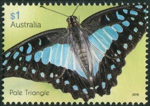 Colnect-4395-989-The-Pale-Triangle-Graphium-eurypylus.jpg